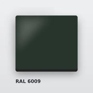 RAL 6009 Пихтовый зелёный