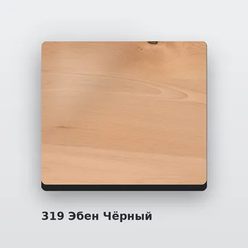 Алюминиевая композитная фасадная панель PlastCover 4/0,4 FR 1500×4000, цвет 319 Эбен Чёрный AluHype